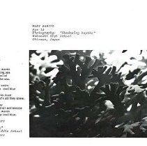 Sun Eight Dodds Pacific Region 1982 15