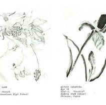 Sun Eight Dodds Pacific Region 1982 2nd Half 38