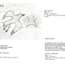 Sun Eight Dodds Pacific Region 1982 2nd Half 55