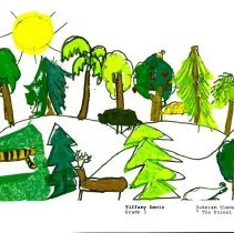 Sun Fourteen Dodds Pacific Region 1988 226