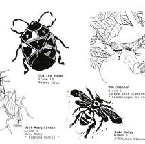 Sun Fourteen Dodds Pacific Region 1988 129
