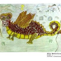 Sun Fourteen Dodds Pacific Region 1988 141