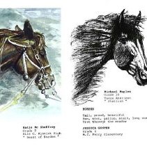 Sun Fourteen Dodds Pacific Region 1988 144