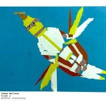 Sun Fourteen Dodds Pacific Region 1988 149