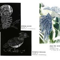 Sun Fourteen Dodds Pacific Region 1988 151