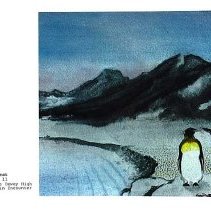 Sun Fourteen Dodds Pacific Region 1988 155