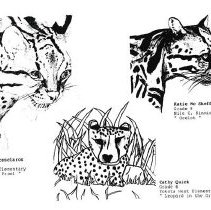 Sun Fourteen Dodds Pacific Region 1988 132