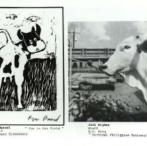 Sun Fourteen Dodds Pacific Region 1988 137