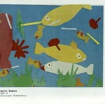 Sun Fourteen Dodds Pacific Region 1988 202