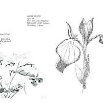 Sun 10 Anniversary Issue 1994 Dodds Pacific Region 68