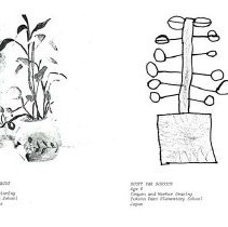 Sun 10 Anniversary Issue 1994 Dodds Pacific Region 78