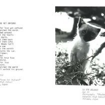 Sun 10 Anniversary Issue 1994 Dodds Pacific Region 146