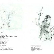 Sun 10 Anniversary Issue 1994 Dodds Pacific Region 206