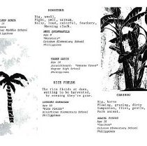 Sun Twelve Dodds Pacific Region 1986 66