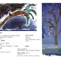 Sun Twelve Dodds Pacific Region 1986 90