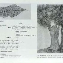 Sun Twelve Dodds Pacific Region 1986 252