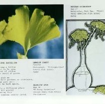 Sun Twelve Dodds Pacific Region 1986 273