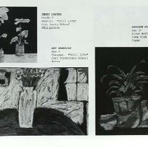 Sun Twelve Dodds Pacific Region 1986 275
