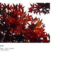 Sun Twelve Dodds Pacific Region 1986 280