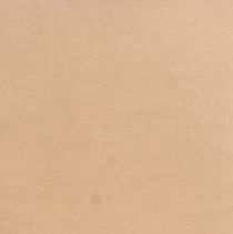 1984 Dodds-germany Honors High School Music Festival March 21 1984 1