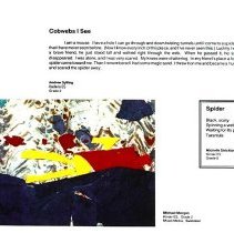 Sun Sixteen Dodds Pacific Region 1990 99