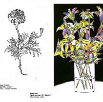 Sun Sixteen Dodds Pacific Region 1990 129