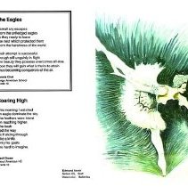 Sun Sixteen Dodds Pacific Region 1990 133