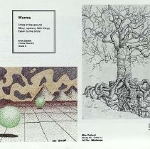 Sun Sixteen Dodds Pacific Region 1990 147