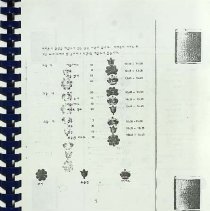 Coordinators' Guide A Very Special Arts Festival Book 4 1981 91