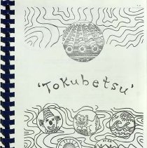 Coordinators' Guide A Very Special Arts Festival Book 4 1981 25