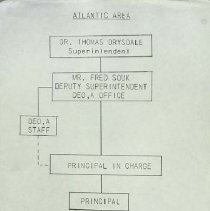 Atlantic Area Report Tree 1