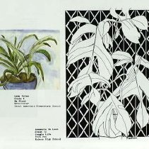 Sun Fifteen Dodds Pacific Region 1989 6