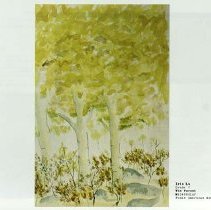 Sun Fifteen Dodds Pacific Region 1989 60