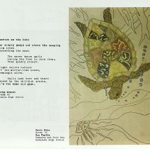 Sun Fifteen Dodds Pacific Region 1989 88