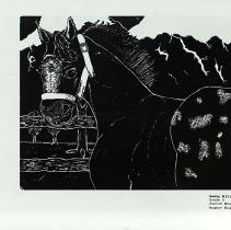 Sun Fifteen Dodds Pacific Region 1989 92