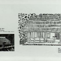 Sun Fifteen Dodds Pacific Region 1989 95