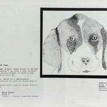 Sun Fifteen Dodds Pacific Region 1989 157