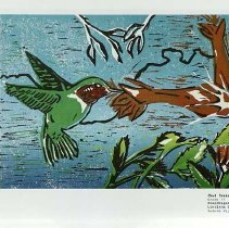 Sun Fifteen Dodds Pacific Region 1989 104