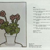 Sun Fifteen Dodds Pacific Region 1989 167