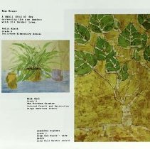 Sun Fifteen Dodds Pacific Region 1989 170