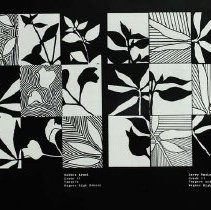 Sun Fifteen Dodds Pacific Region 1989 23