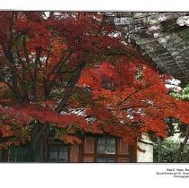 Sun Twenty Dodds Pacific 1994 070