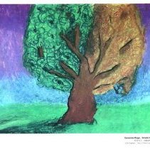 Sun Twenty Dodds Pacific 1994 080