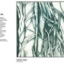 Sun Twenty Dodds Pacific 1994 116