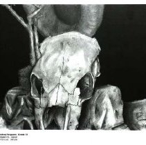 Sun Twenty Dodds Pacific 1994 117