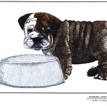 Sun Twenty Dodds Pacific 1994 152