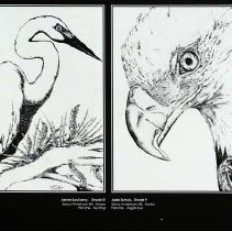 Sun Twenty Dodds Pacific 1994 175