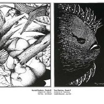 Sun Twenty Dodds Pacific 1994 176