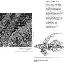 Sun Twenty One Dodds Pacific Region 1995 18