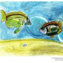 Sun Twenty One Dodds Pacific Region 1995 19